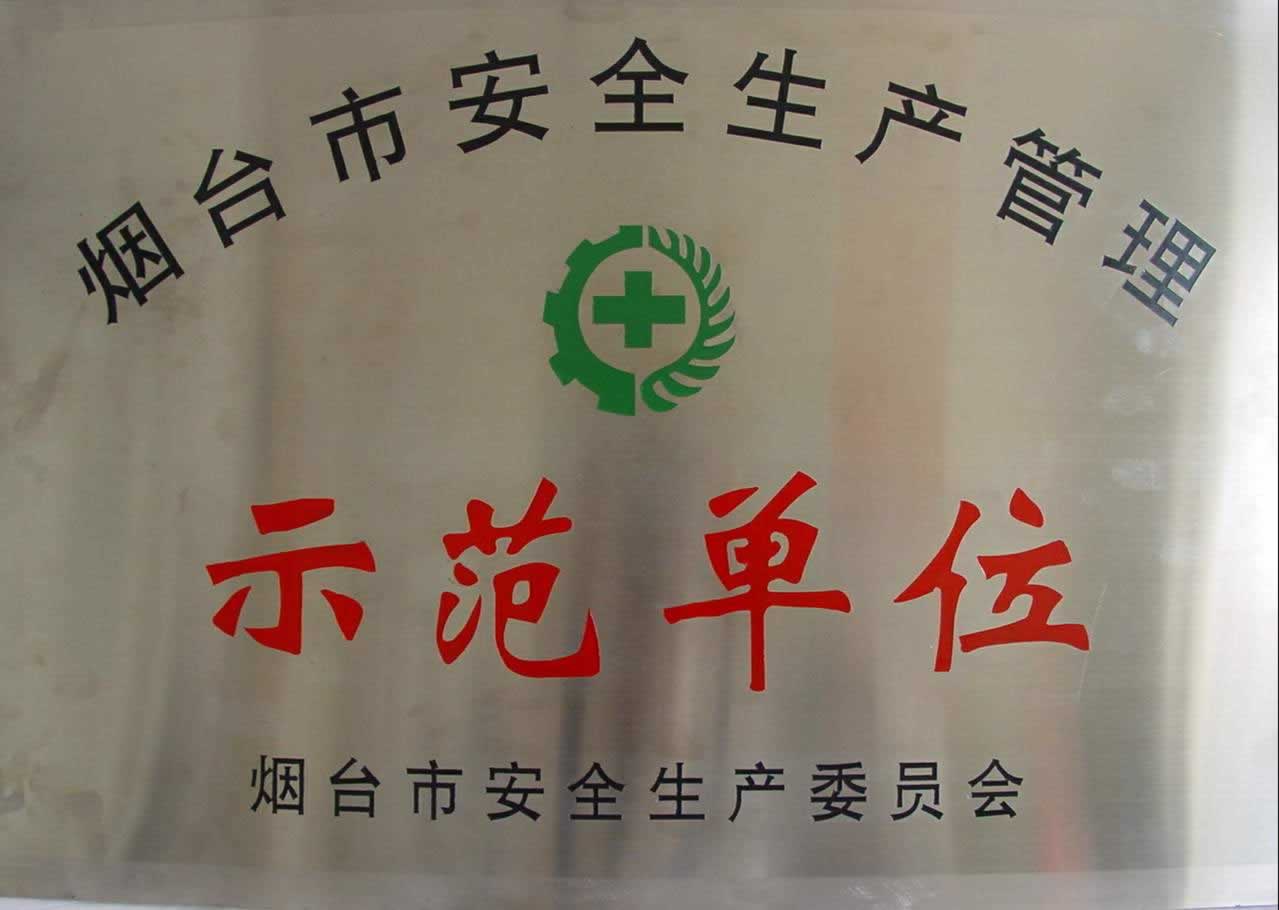 烟台市安全生产示范单位