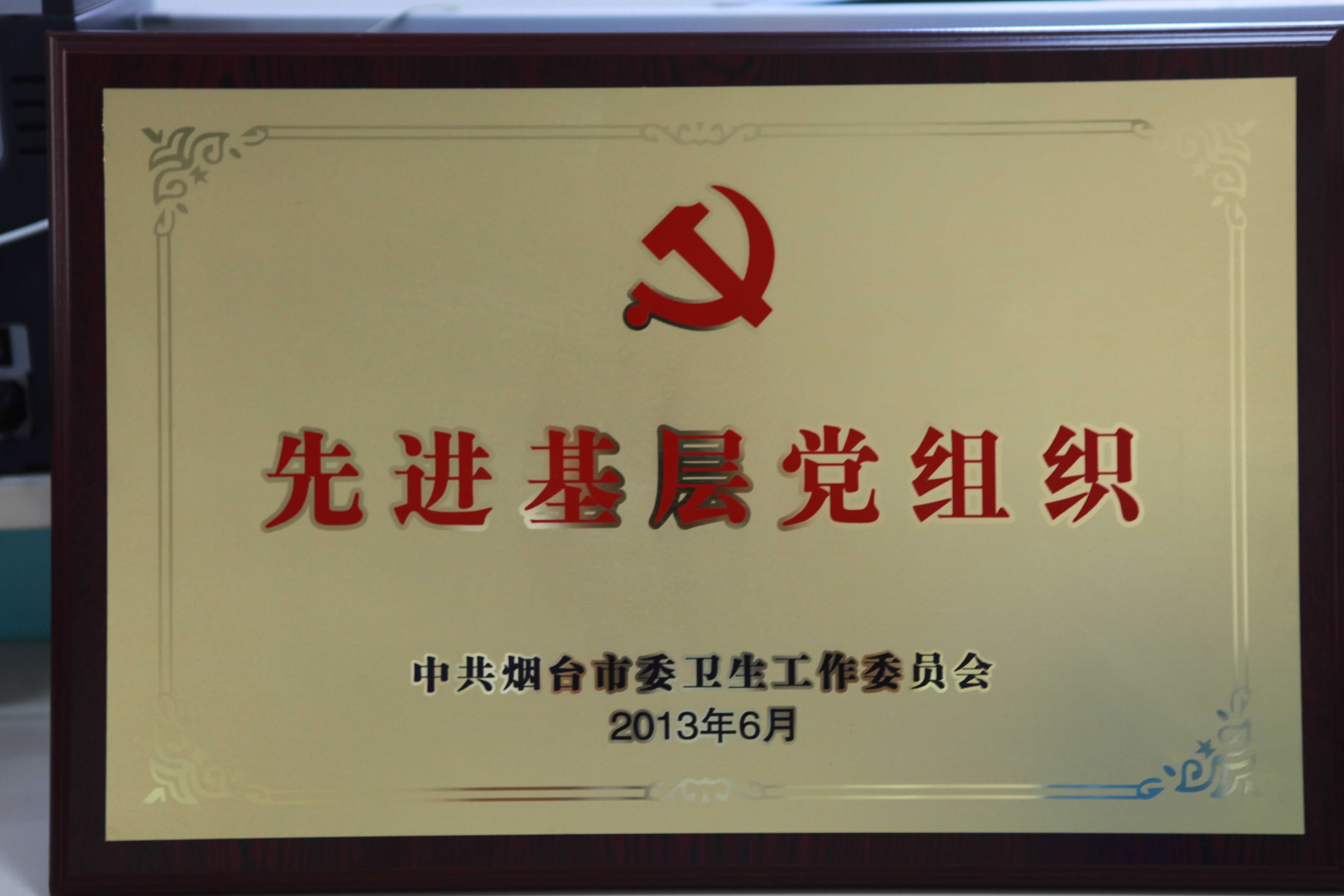 卫生局先进基层党组织.