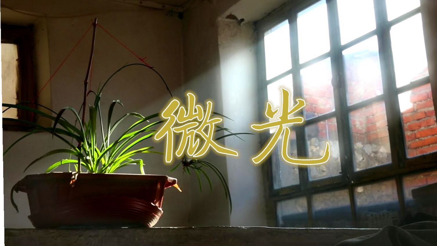 最真的故事，最暖的微光，这份善心需要你的支持