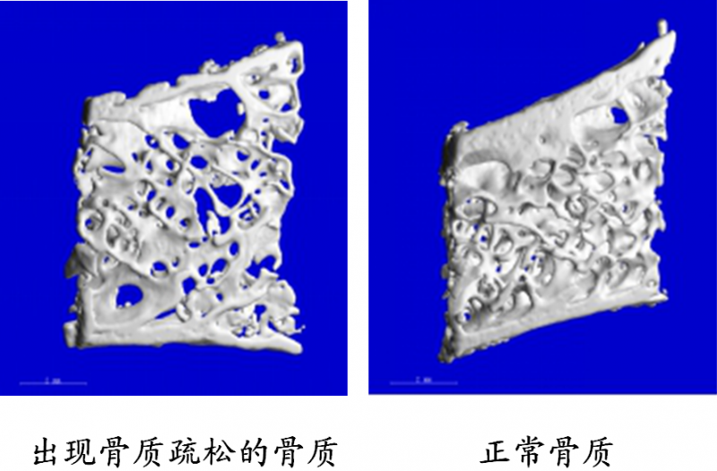 QQ截图20181019160007.png