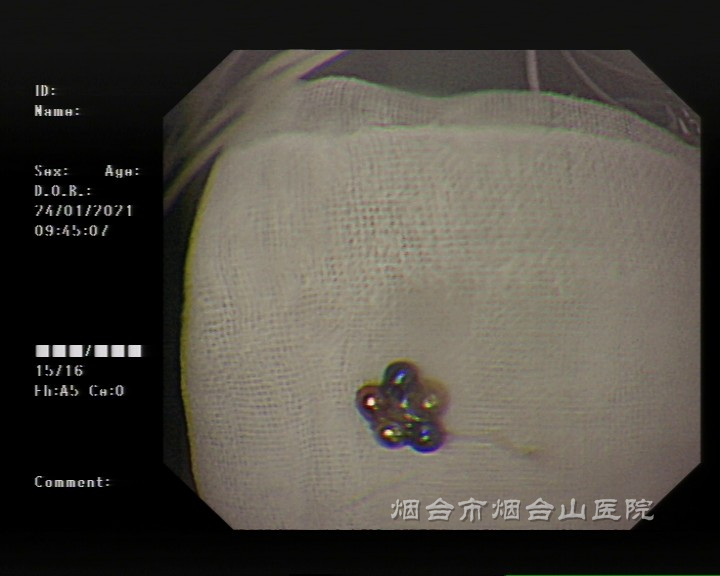 微信图片_20210125100145_副本.png