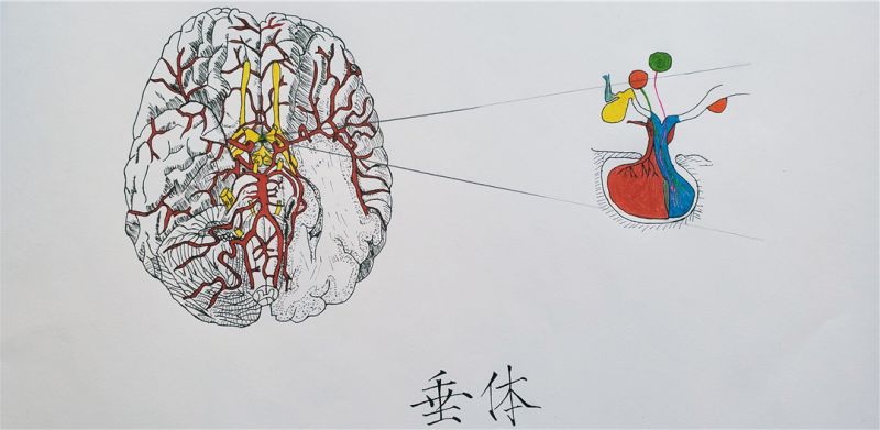 fig.1.jpg