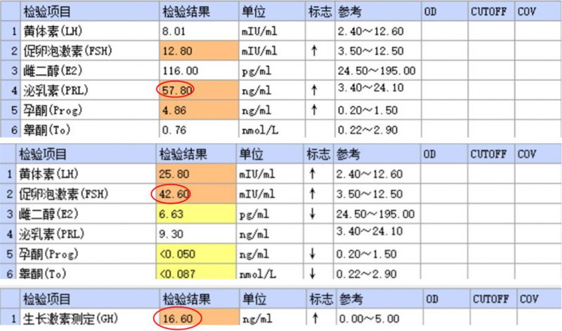 fig.2.jpg
