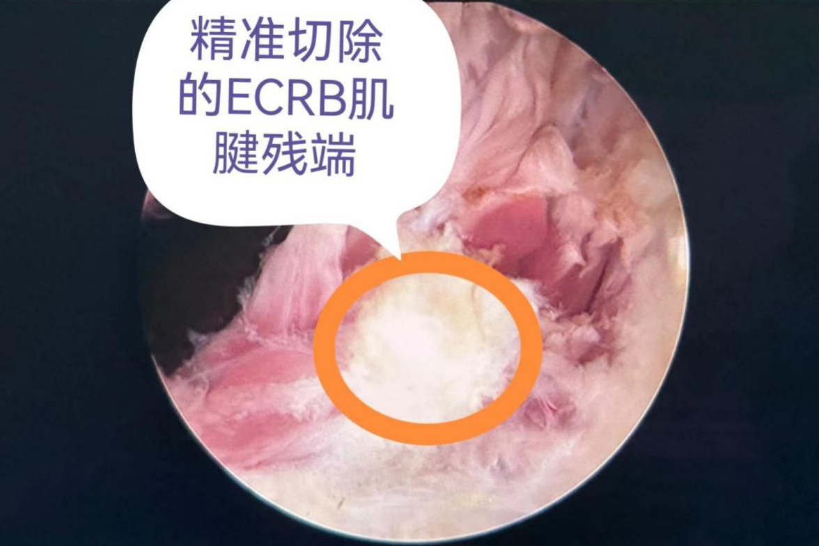 image003好的.jpg